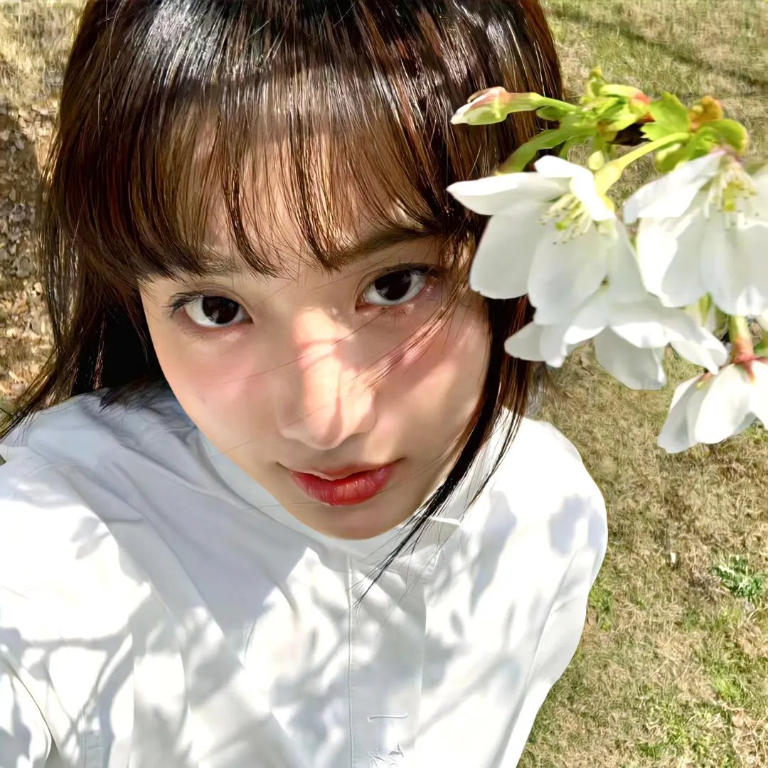 公主日记之皇家婚约