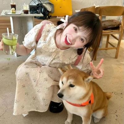 蔷薇处处开